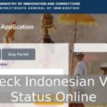 Check Indonesian Visa Status Online
